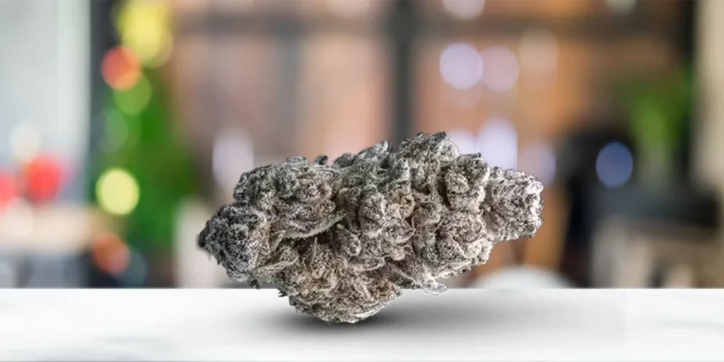 NexZen Extractcs