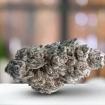 NexZen Extractcs