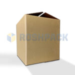 Rosh Pack Cardboard Boxes – The Reliable Packaging Solution for Every Need