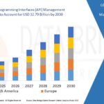 Global Application Programming Interface (API) Management Market